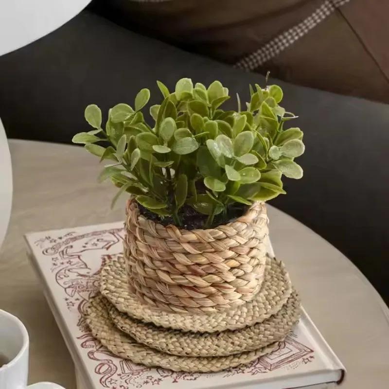 Home Office Word - 1pc vaso de plantas pequenas plantas
