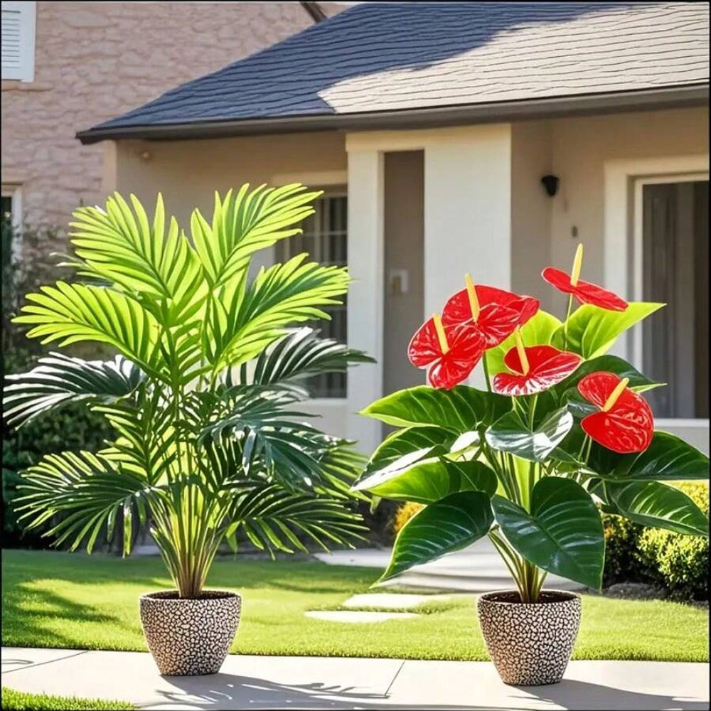 Home Office Word - 2 conjuntos de grandes plantas de