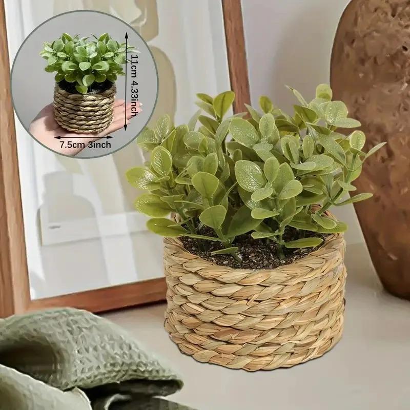 1pc vaso de plantas pequenas p - Home Office Word avaliação e preço