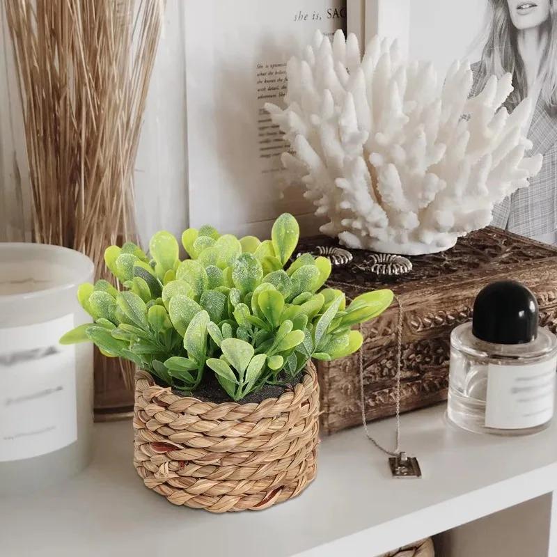 1pc vaso de plantas pequenas p - Home Office Word avaliação e preço