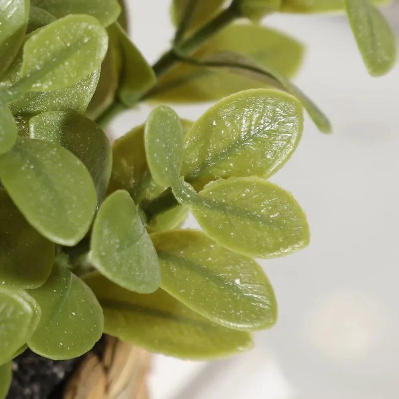 1pc vaso de plantas pequenas p - Home Office Word avaliação e preço